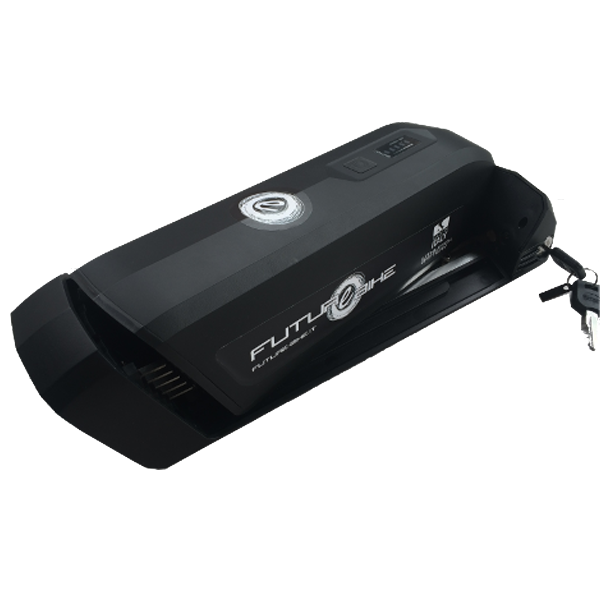 Batterie per e-bike
