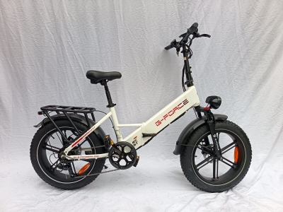 FAT BIKE G-FORCE RC ST PRO 20"X4.0 20ah